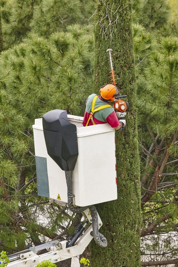 les appareils électroménagers incontournables pour votre maison