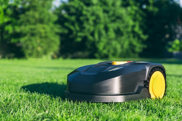 Les meilleurs robots tondeuses pour chaque taille de jardin en 2025